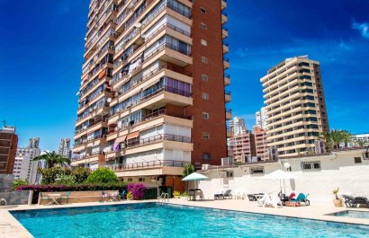 Appartement / flat - Herverkoop - Benidorm -
                Benidorm