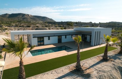 detached - New Build - Pinoso -
                Pinoso