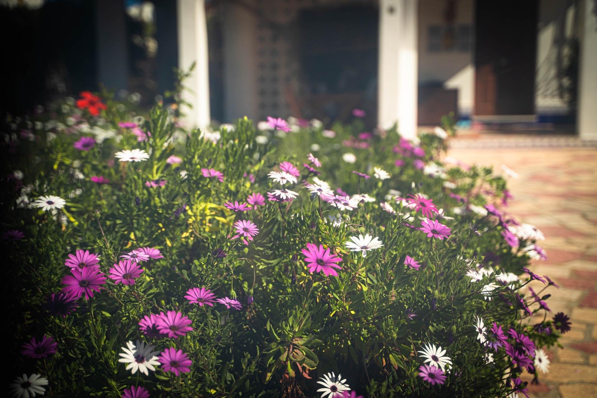 Herverkoop - Villa / Halfvrijstaand -
Alfaz del Pi - Albir