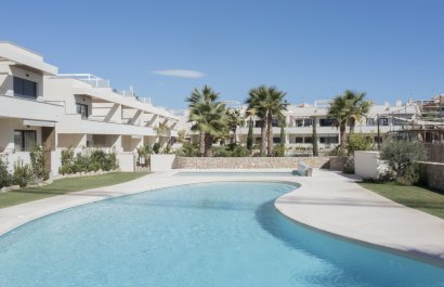 high-bungalow - Neue Gebäude - Torrevieja - Torrevieja