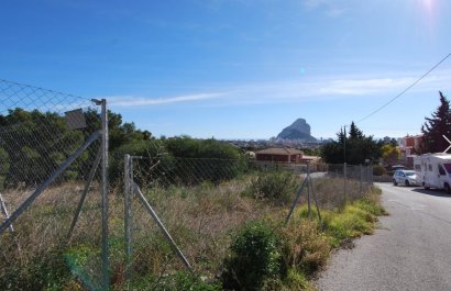 Land - Herverkoop - Calpe -
                Calpe