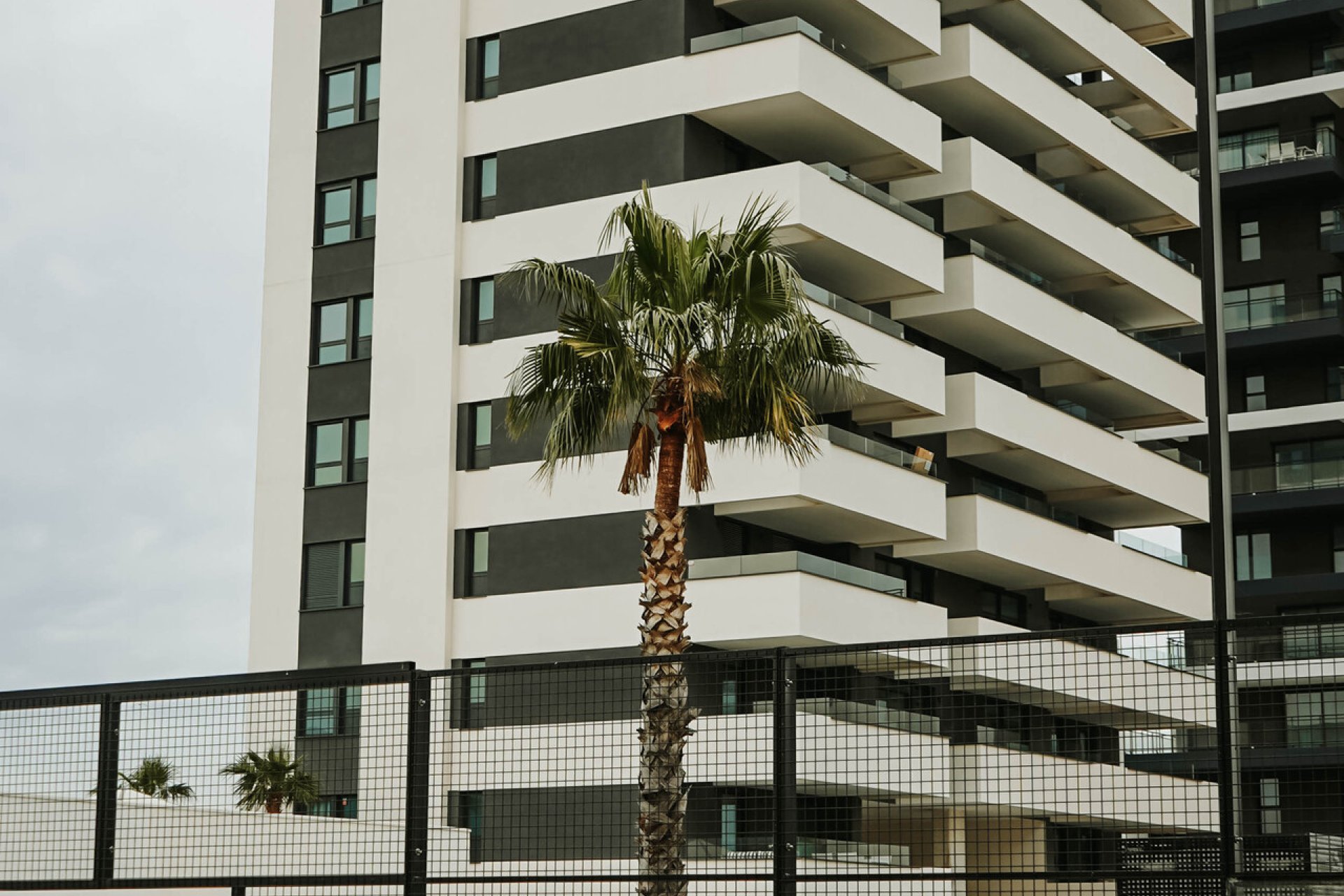 Neue Gebäude - Penthouse -
Calpe