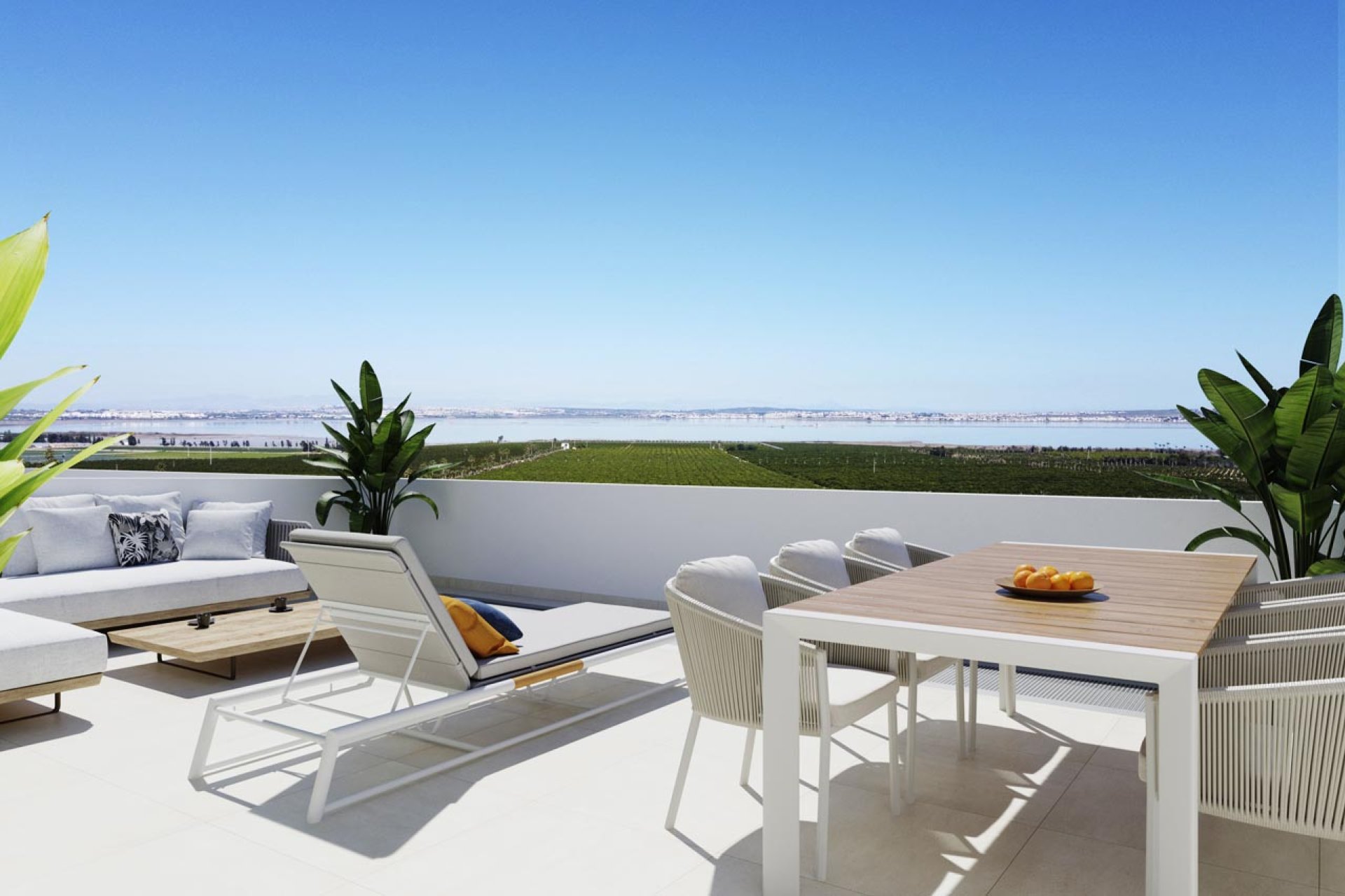 Neue Gebäude - Penthouse -
Torrevieja