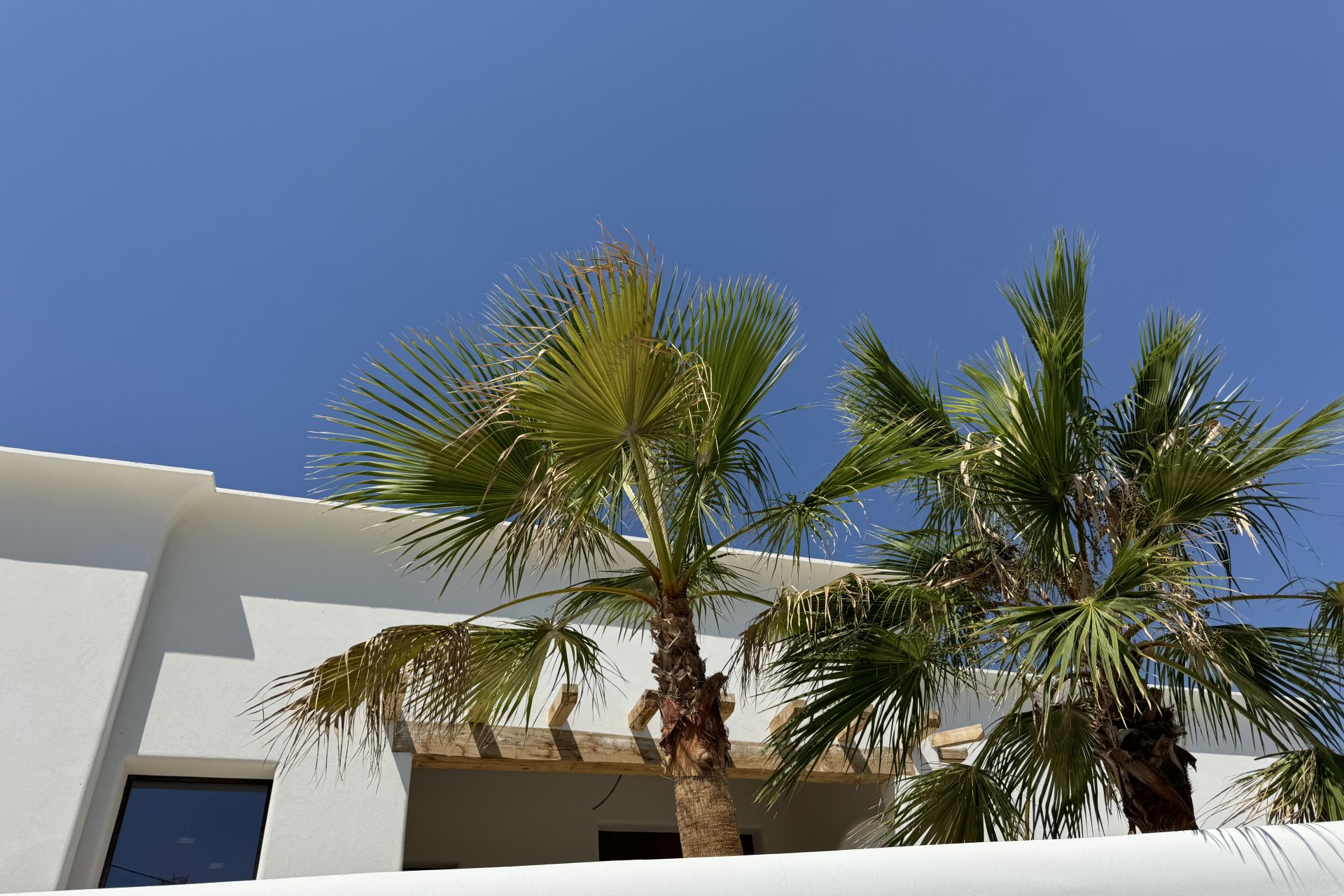 Neue Gebäude - Villa -
Benissa