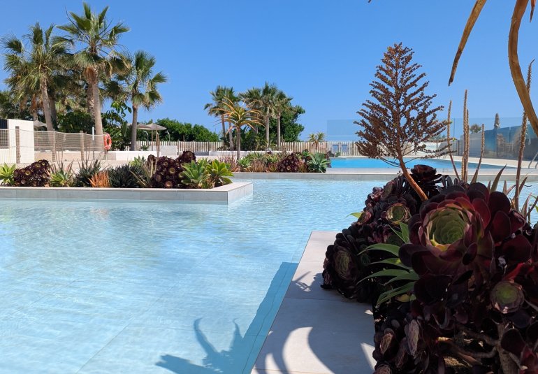 New Build - Apartment / flat -
Denia - Dénia