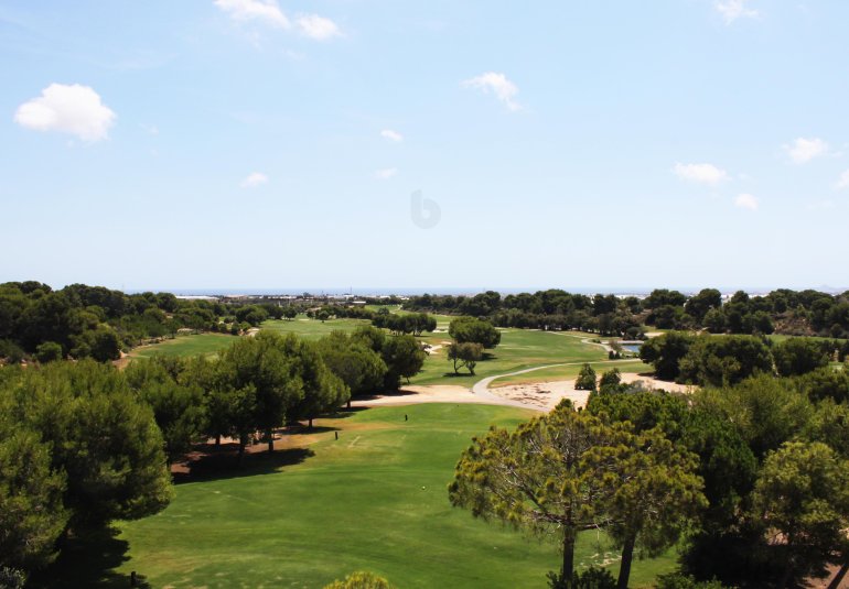 New Build - ground-floor -
Pinar de Campoverde