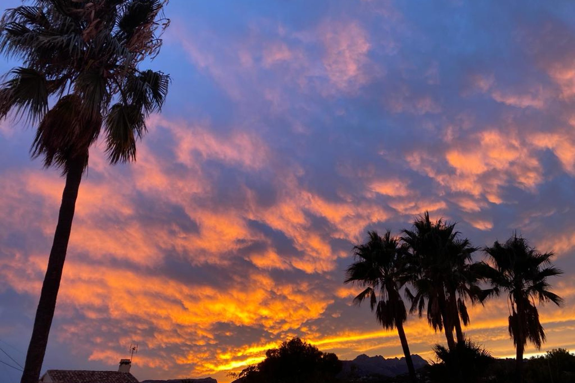 New Build - Villa -
Benissa