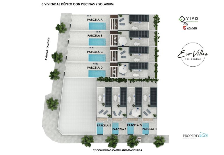 New Build - Villa -
Pilar de la Horadada