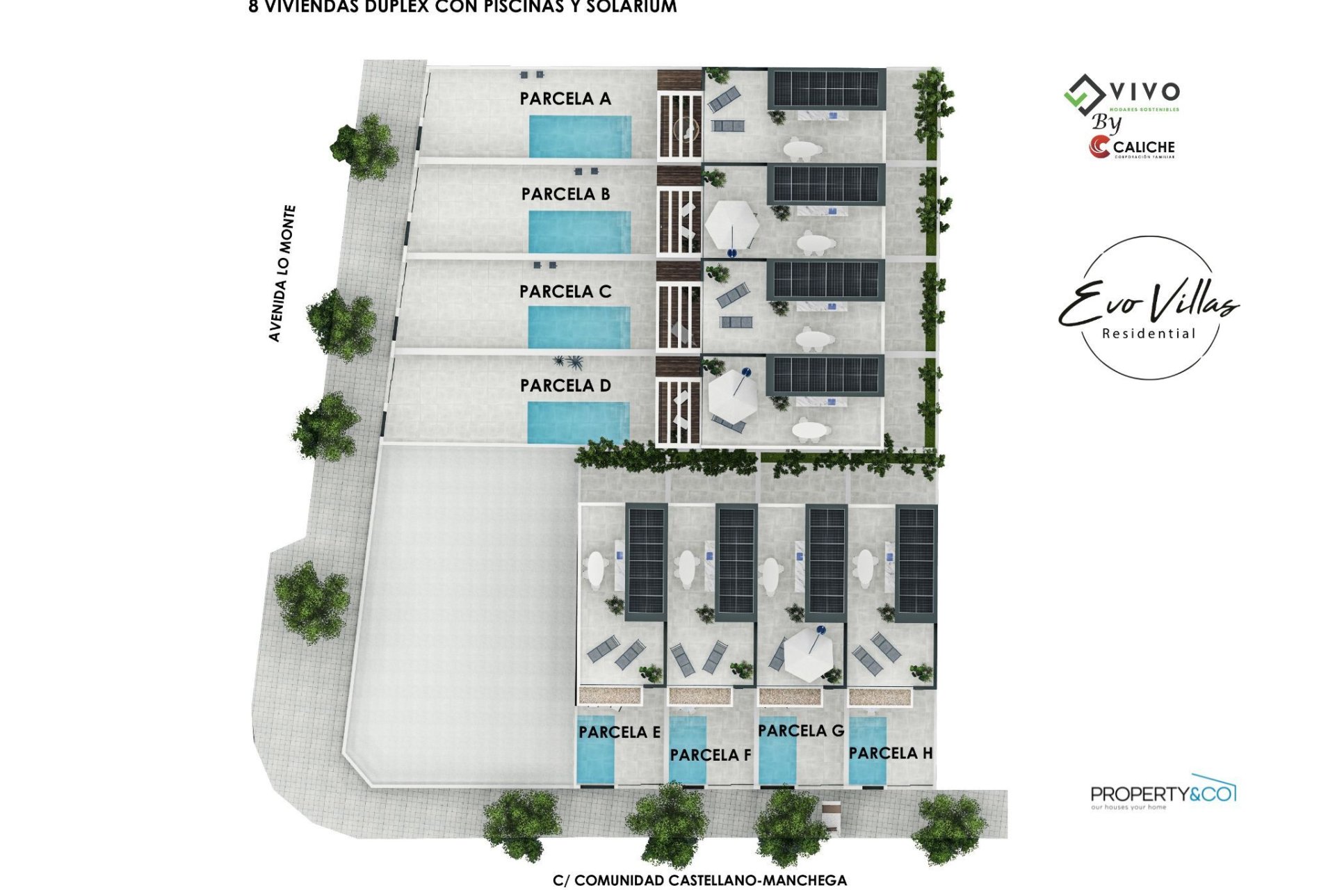 New Build - Villa -
Pilar de la Horadada