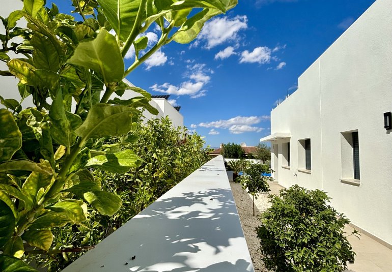 Nieuwbouw Woningen - Herenhuis -
Benijofar