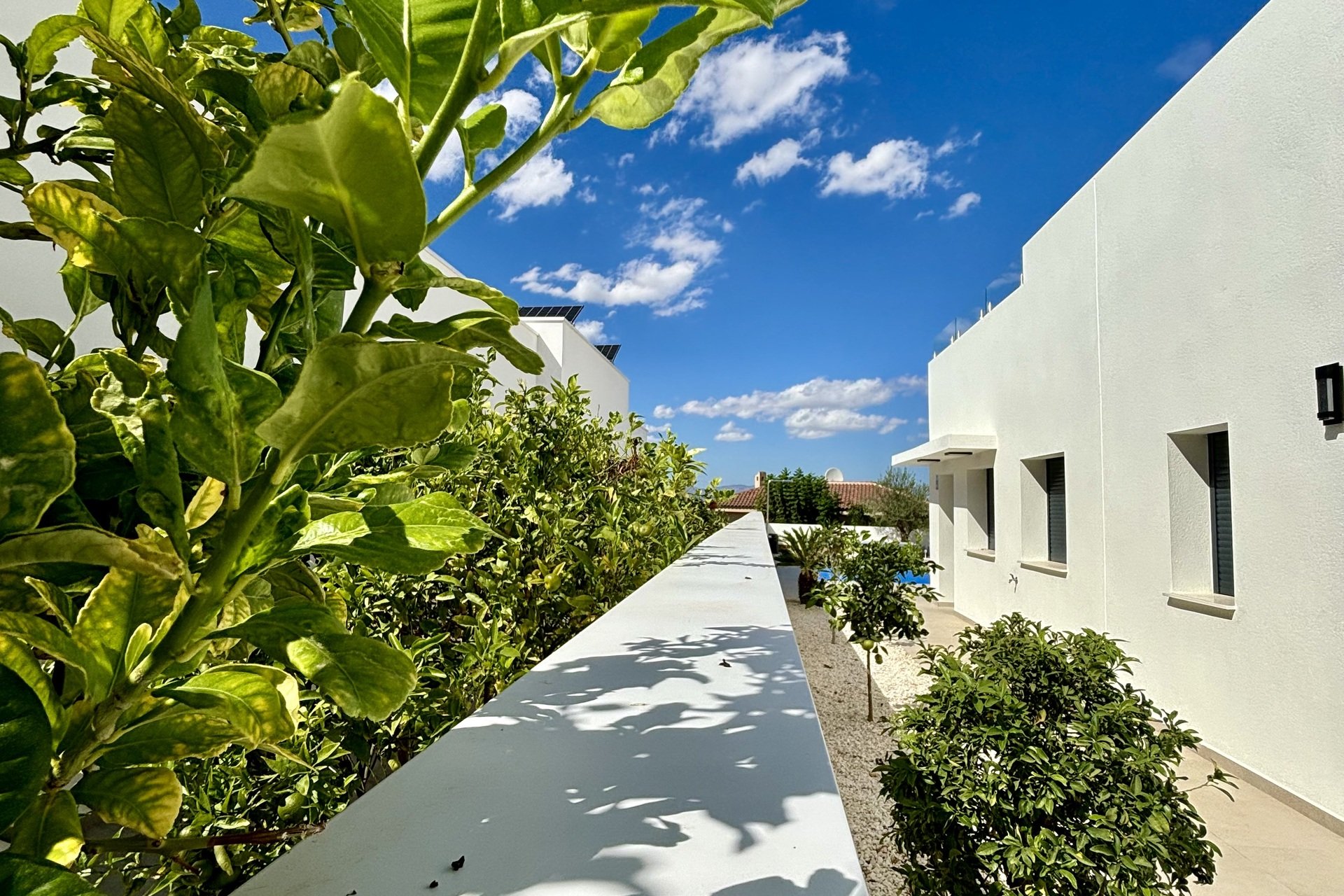 Nieuwbouw Woningen - Herenhuis -
Benijofar