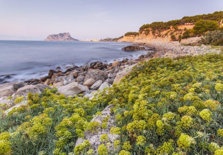 Nieuwbouw Woningen - Villa -
Benissa - Cala Advocat