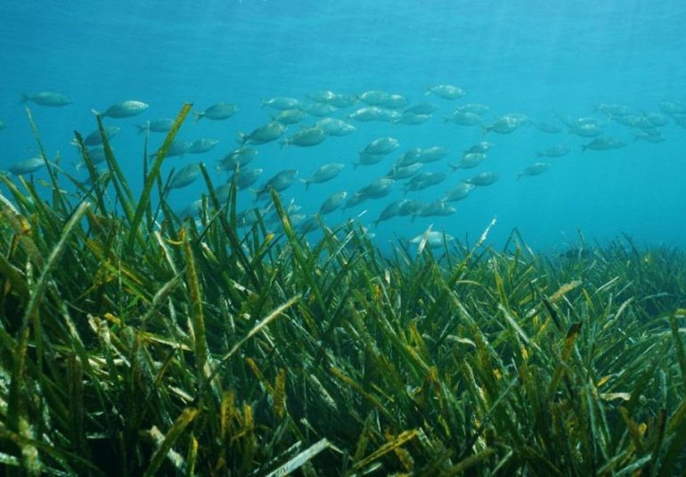 Nieuwbouw Woningen - Villa -
Benissa - Racó Del Galeno