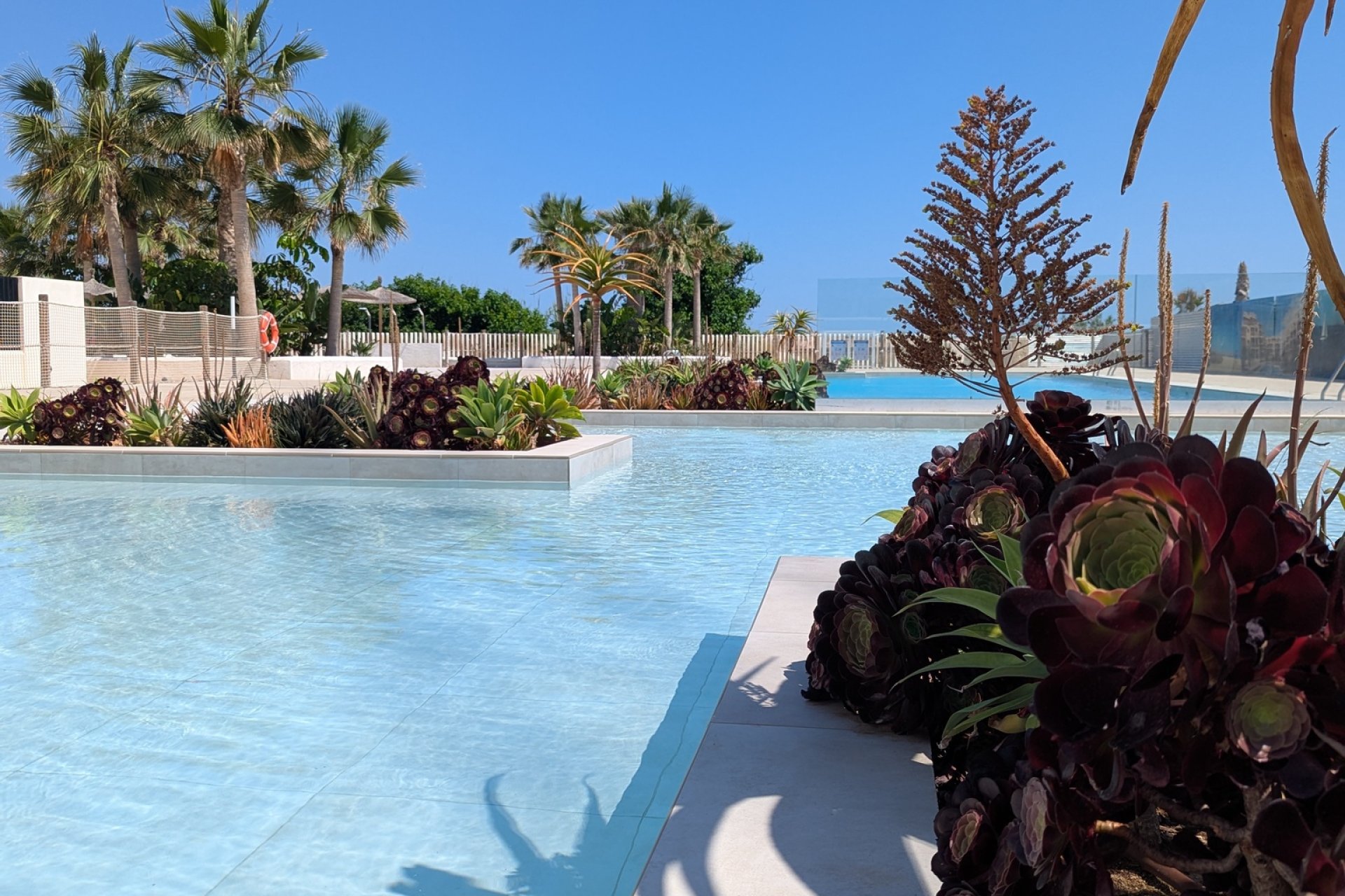 Nouvelle construction - Appartement -
Denia - Dénia