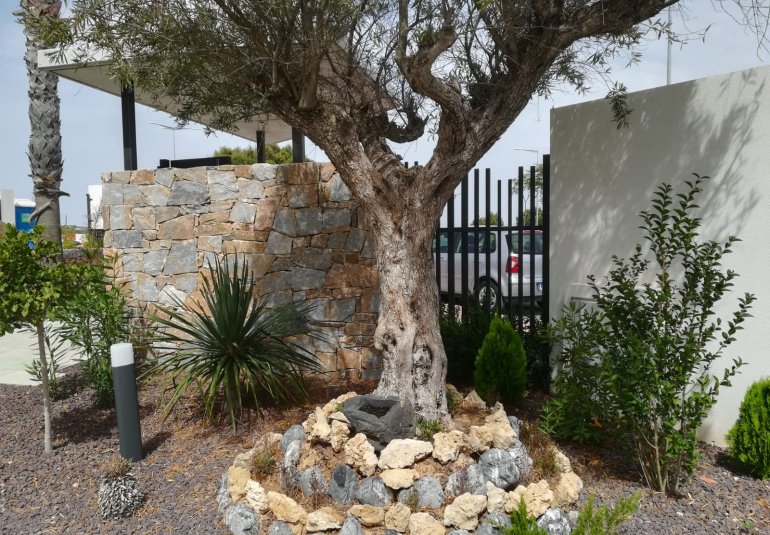 Nouvelle construction - Bungalow -
Torrevieja
