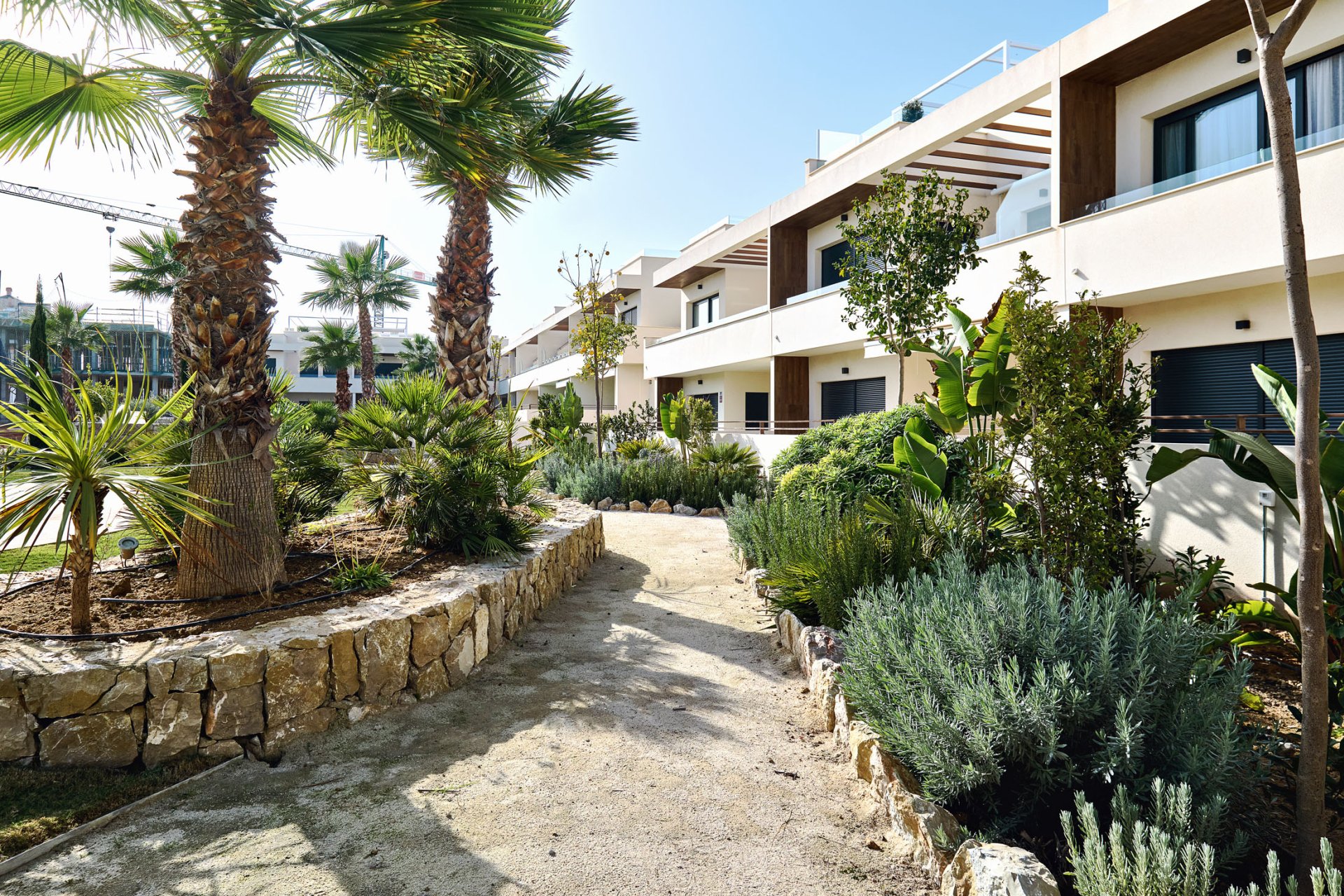 Nouvelle construction - Bungalow -
Torrevieja