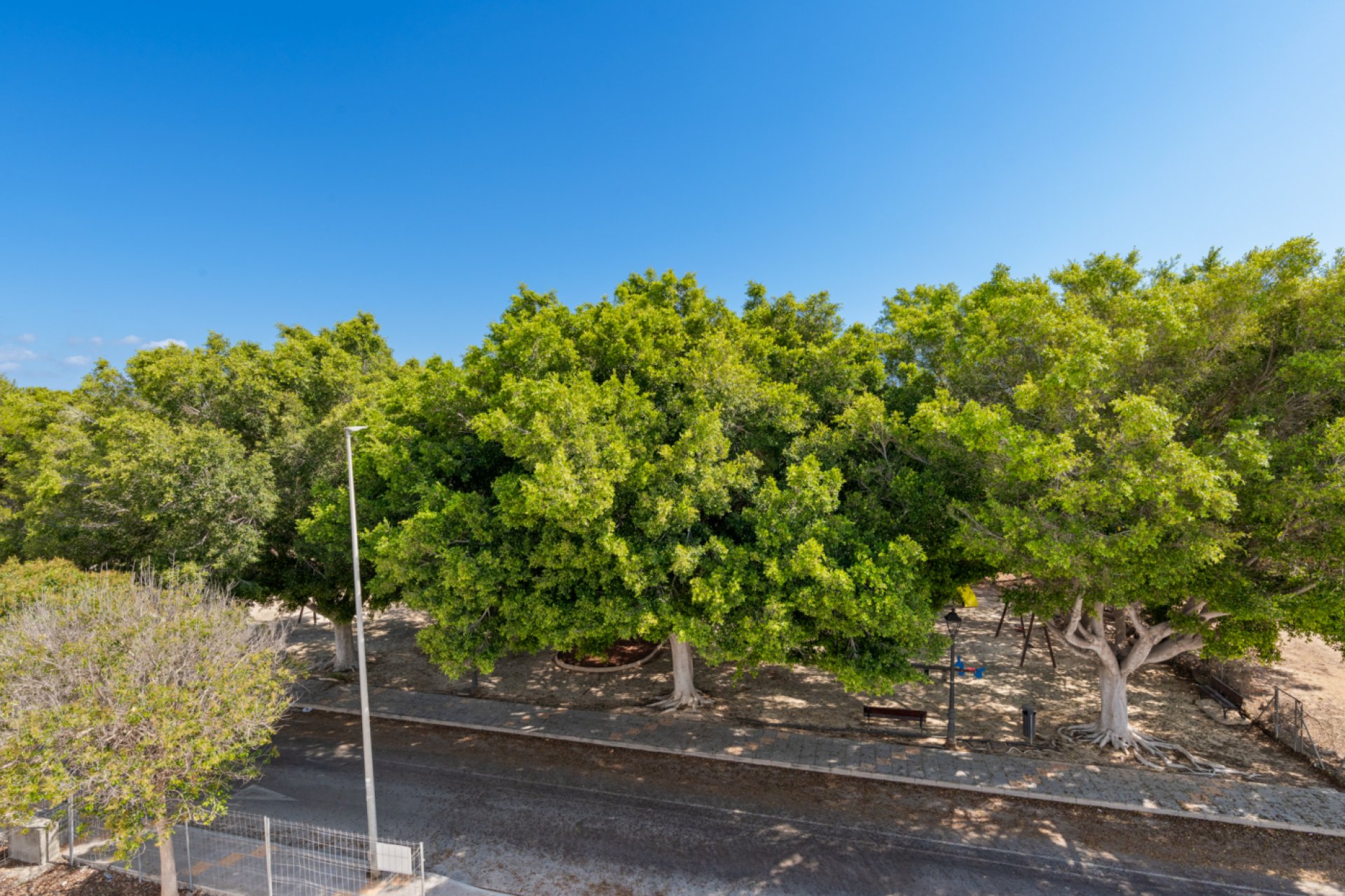 Nouvelle construction - detached -
Pilar de la Horadada