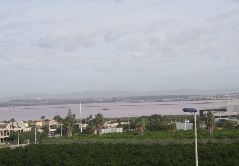 Nouvelle construction - Maison de ville -
Torrevieja