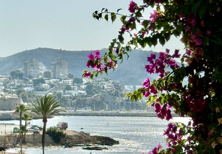 Nouvelle construction - Villa -
Benissa