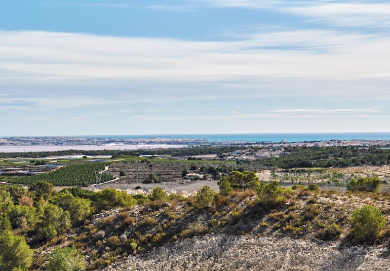 Nouvelle construction - Villa -
San Miguel de Salinas