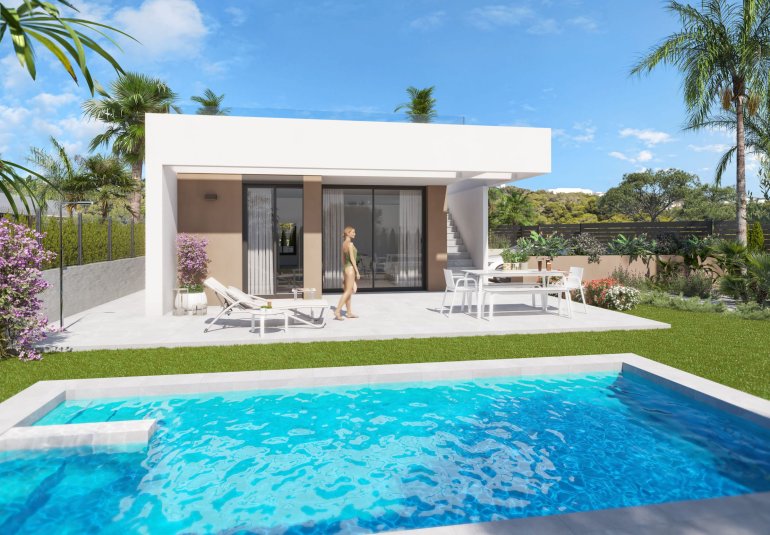 Nouvelle construction - Villa -
vera playa