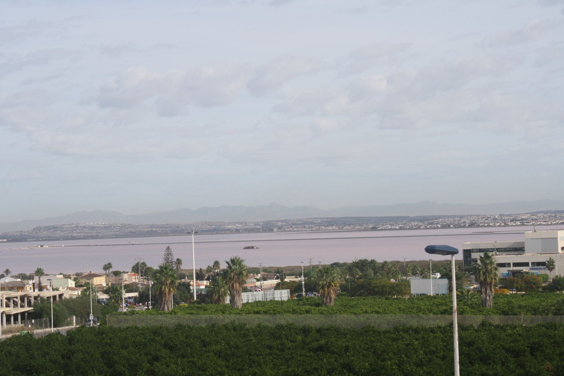 Obra nueva - Adosado -
Torrevieja