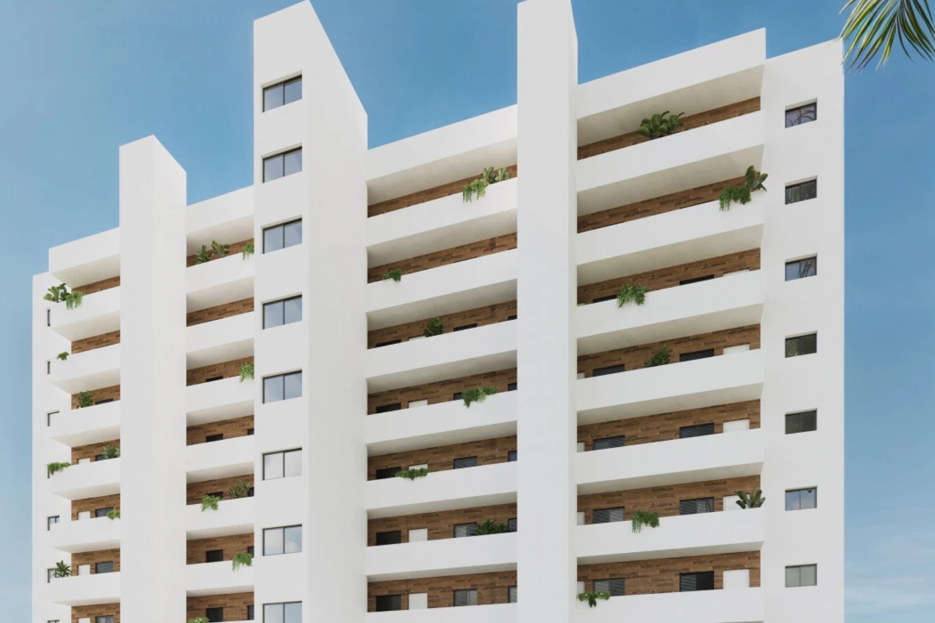 Obra nueva - Ático -
Benidorm