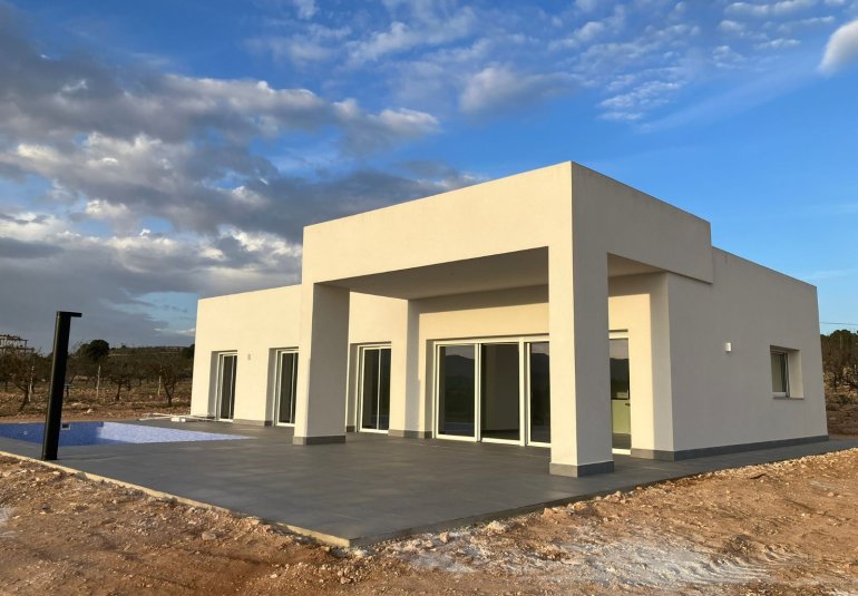 Obra nueva - detached -
Pinoso