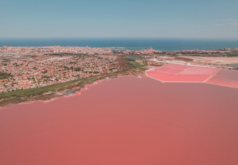 Obra nueva - high-bungalow -
Torrevieja