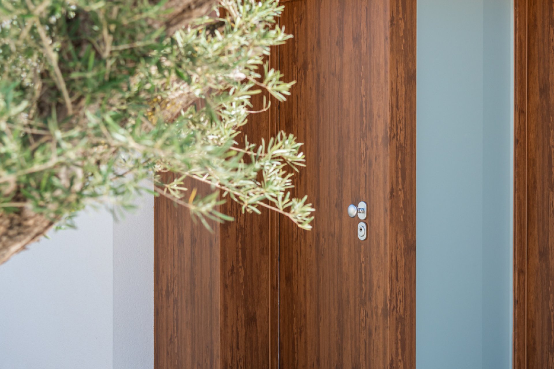 Obra nueva - Villa -
Dehesa de Campoamor