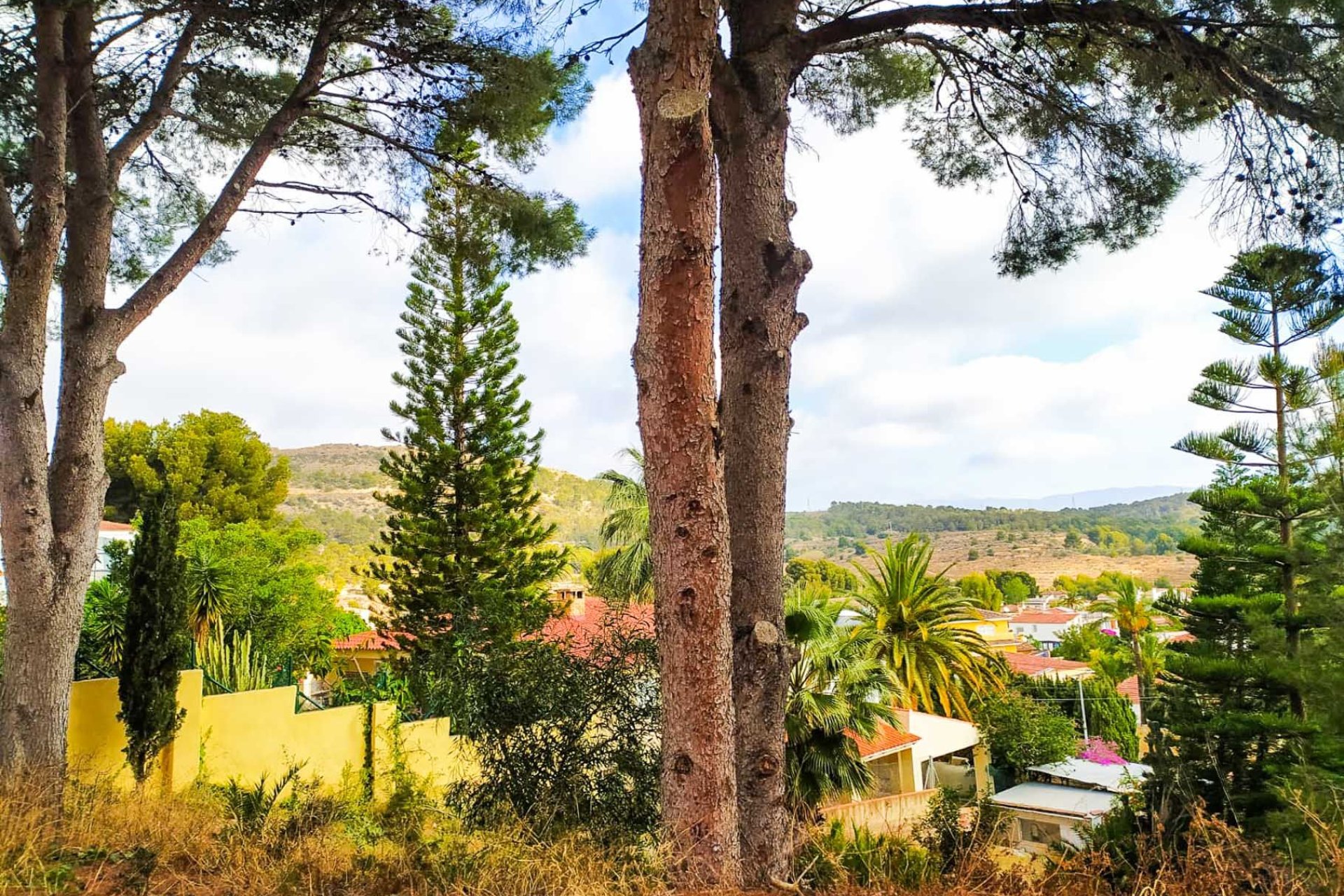 Resale - Plot / Land -
Alfaz del Pi