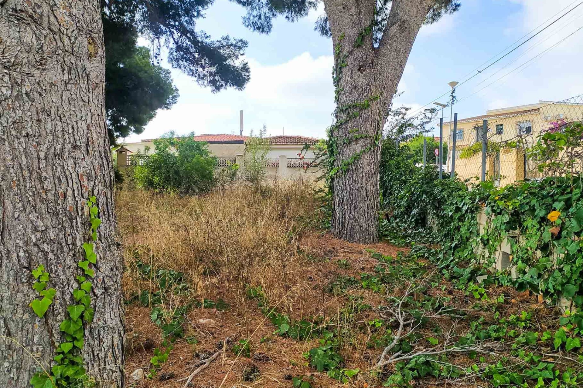 Resale - Plot / Land -
Alfaz del Pi