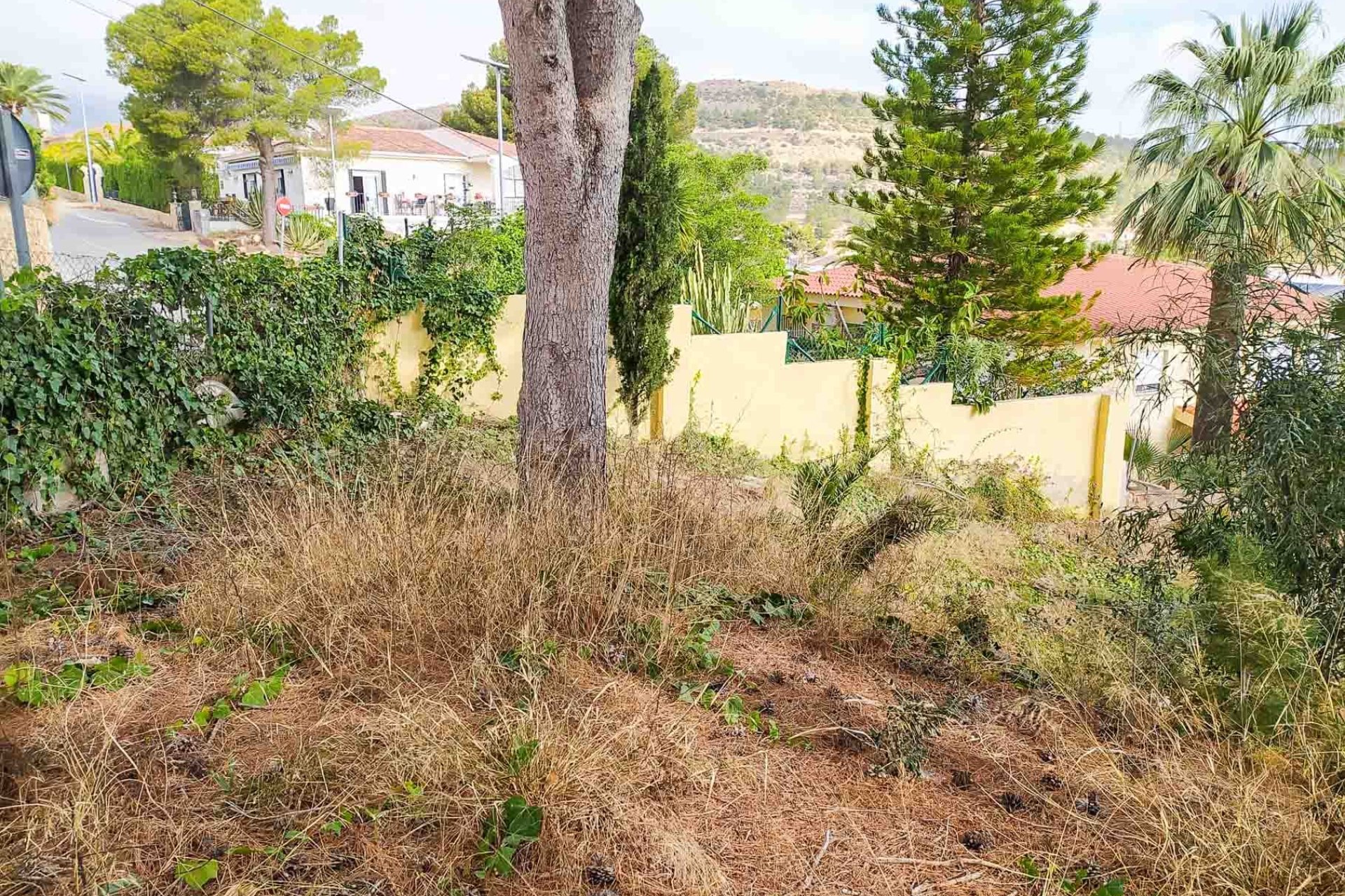 Resale - Plot / Land -
Alfaz del Pi