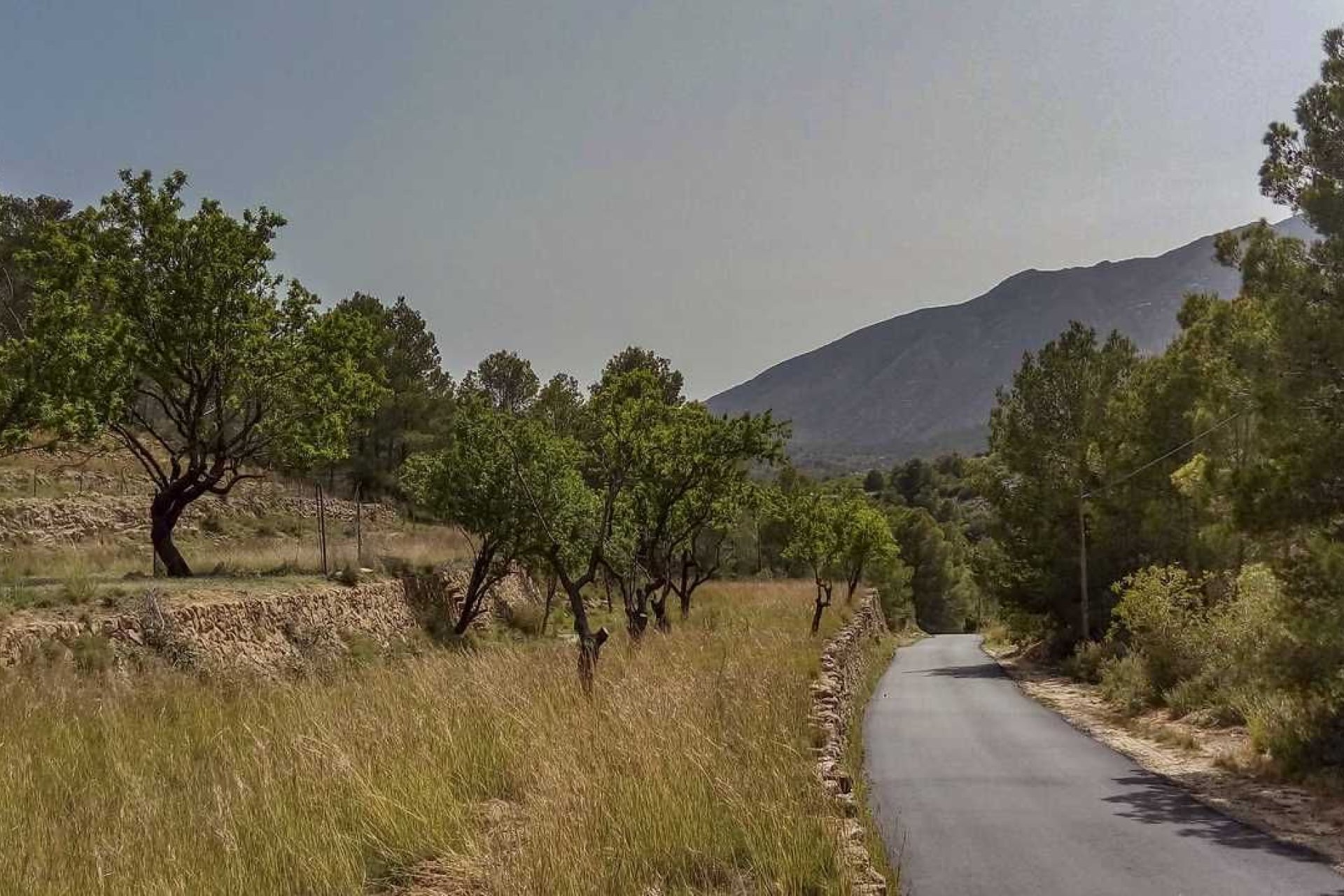 Resale - Plot / Land -
Benissa