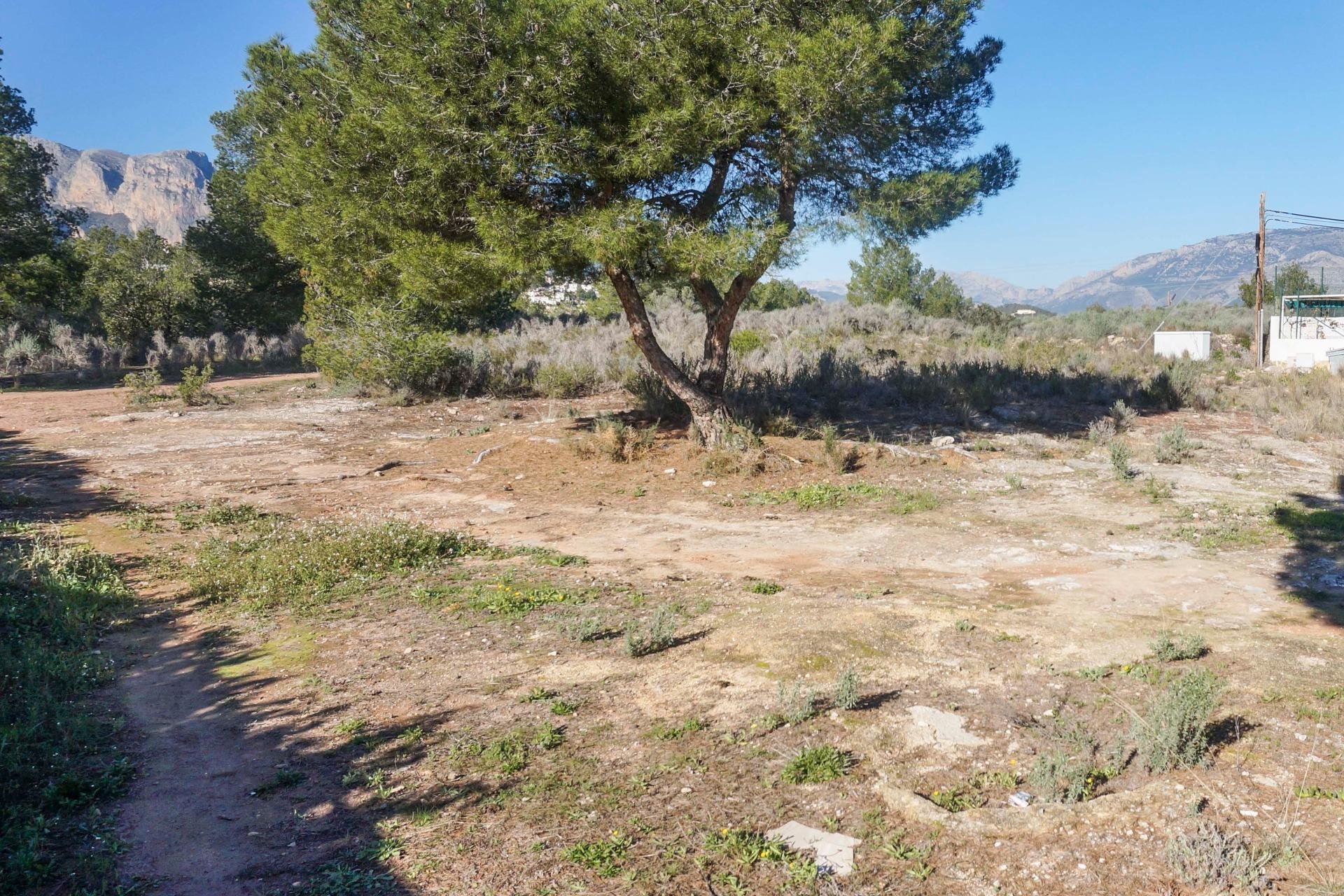 Resale - Plot / Land -
La Nucía - La nucia