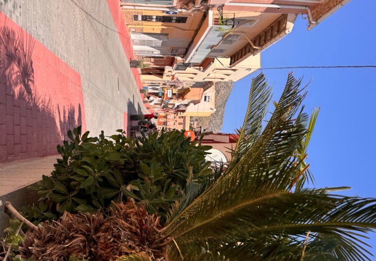 Resale - Townhouse -
Aigues de Busot