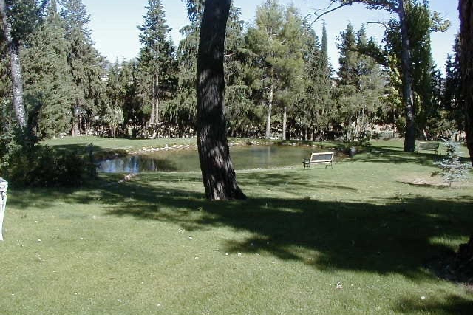 Resale - Villa -
Caravaca - Singla