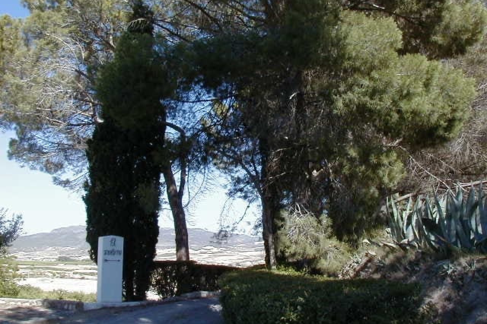 Resale - Villa -
Caravaca - Singla