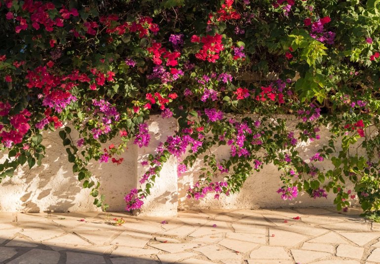 Resale - Villa / Semi semi-detached -
Alfaz del Pi - Albir