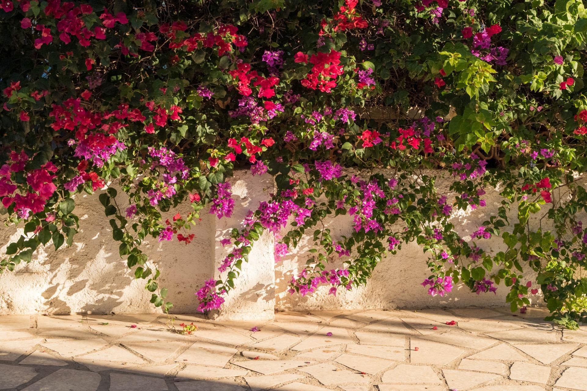 Resale - Villa / Semi semi-detached -
Alfaz del Pi - Albir