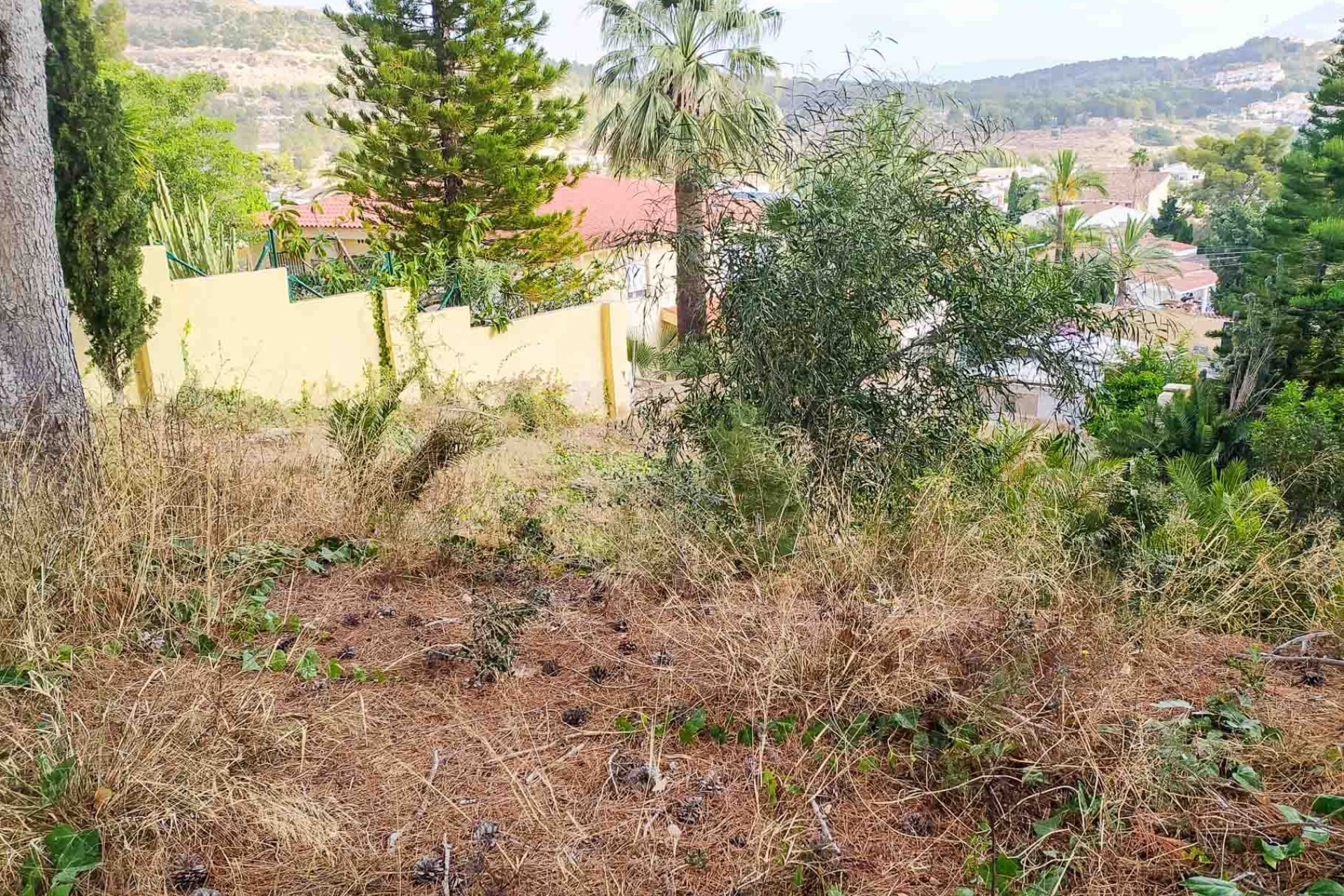 Reventa - Parcela / Terreno -
Alfaz del Pi