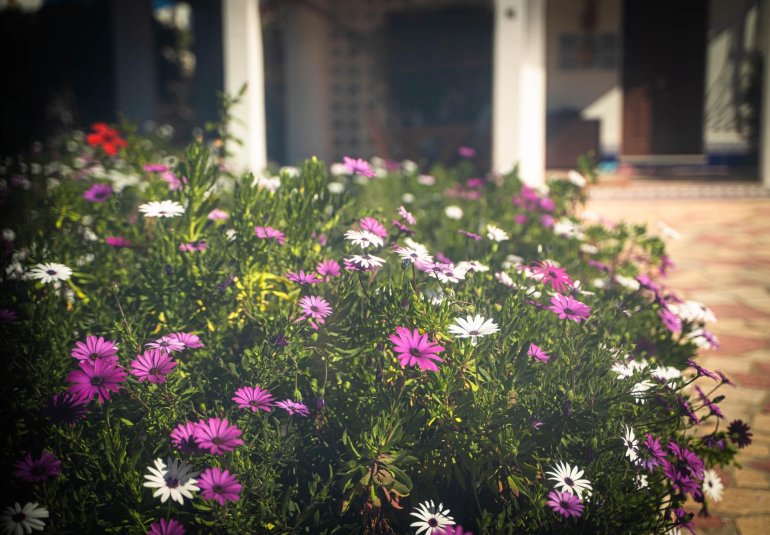 Reventa - Villa / Semi pareado -
Alfaz del Pi - Albir