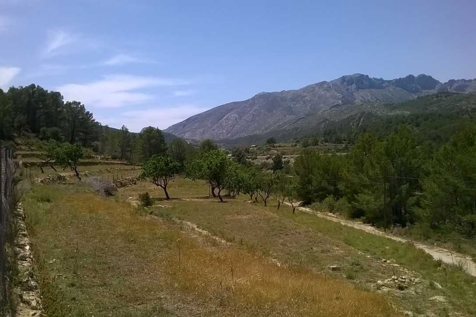 Revente - Parcelle / Terrain -
Benissa