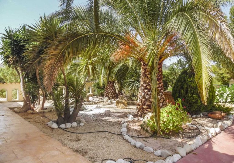 Revente - Villa -
Finestrat