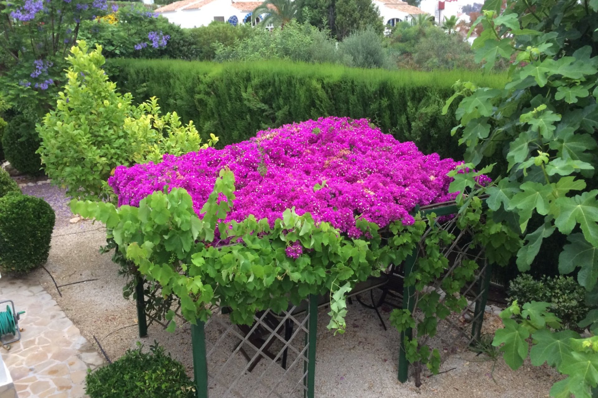 Revente - Villa -
Jávea - Cansalades