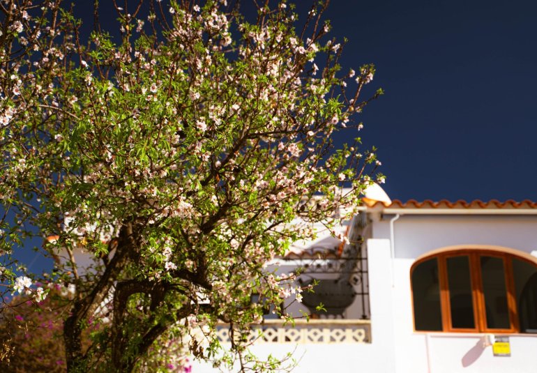 Revente - Villa / Jumelée -
Alfaz del Pi - Albir