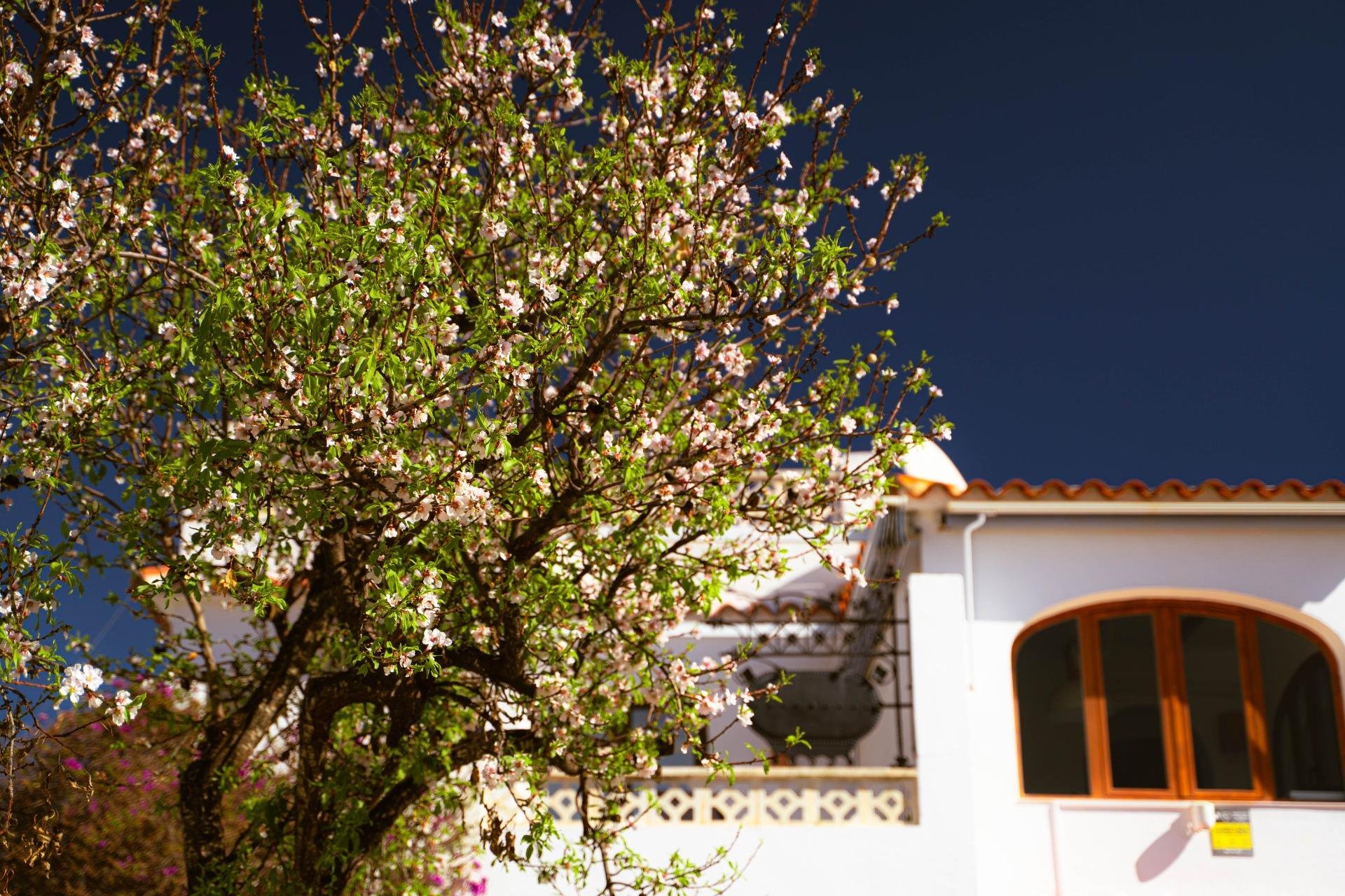 Wiederverkauf - Villa / Doppelhaushälfte -
Alfaz del Pi - Albir