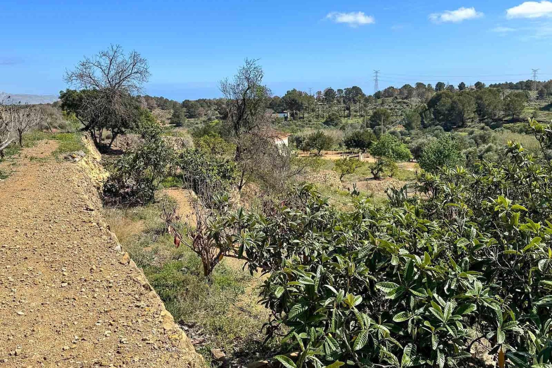 Wiederverkauf - Villa -
La Nucía - La nucia