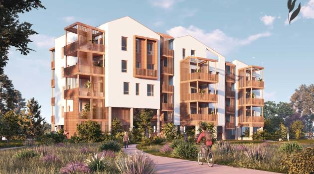 Talasa Caelus Fase I - II