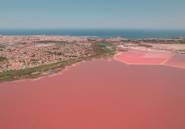 Nouvelle construction - low-bungalow -
Torrevieja